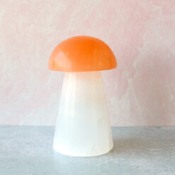 Tranquil Glow – Selenite Mushroom Lamp